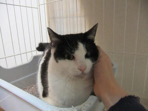 DSCF0742.JPG