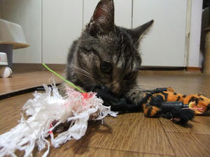 DSCF0779.JPG