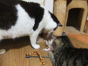 DSCF0814.JPG