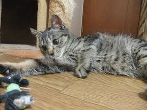 DSCF0808.JPG