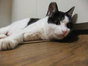 DSCF0804.JPG