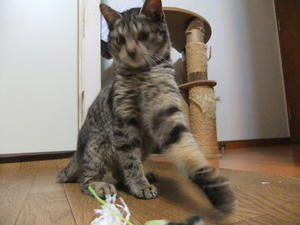 DSCF0792.JPG