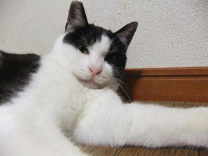DSCF0831.JPG