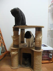 DSCF0889.JPG