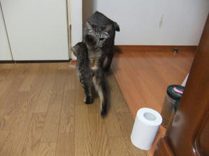 DSCF0881.JPG