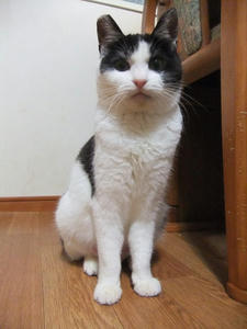 DSCF0836.JPG