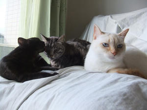 DSCF0948.JPG