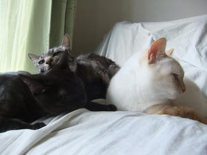 DSCF0951.JPG