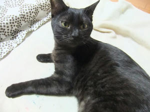 DSCF0929.JPG