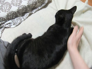 DSCF0927.JPG