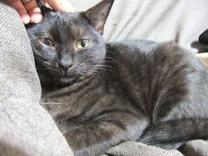 DSCF0735.JPG
