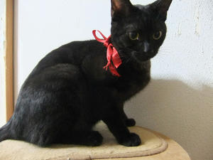 DSCF1065.JPG