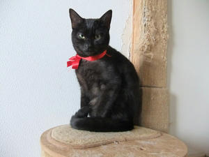 DSCF1073.JPG