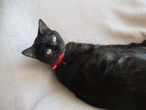 DSCF1070.JPG