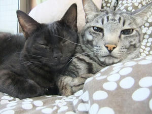 DSCF1039.JPG