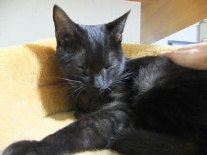 DSCF0925.JPG