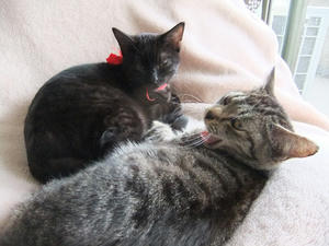 DSCF1072.JPG