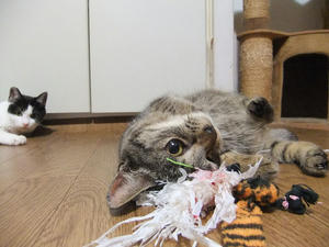 DSCF0800.JPG