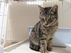 DSCF0821.JPG