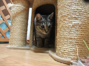 DSCF0852.JPG