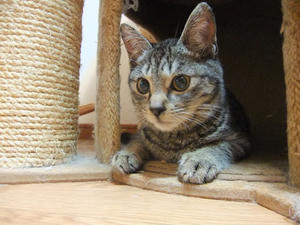 DSCF0864.JPG