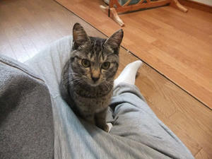 DSCF0903.JPG