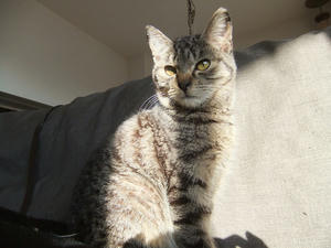 DSCF0986.JPG