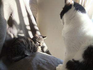 DSCF0992.JPG