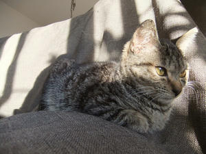 DSCF0994.JPG