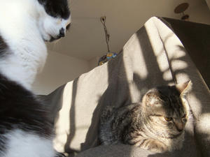 DSCF0995.JPG