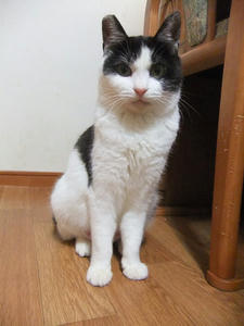 DSCF0838.JPG
