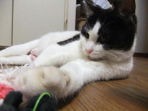 DSCF0772.JPG