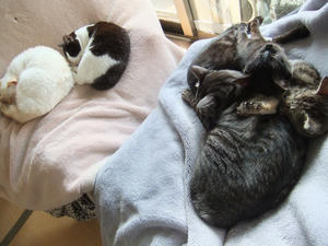 DSCF1064.JPG