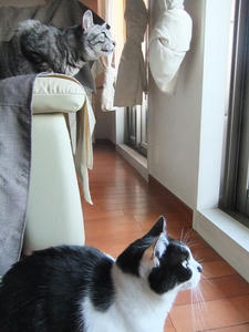 DSCF1011.JPG