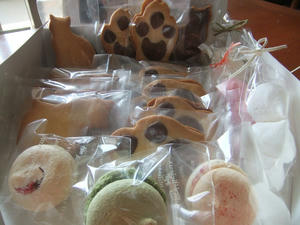 DSCF1149.JPG