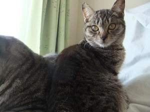 DSCF0970.JPG