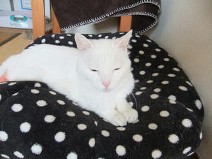 DSCF0731.JPG