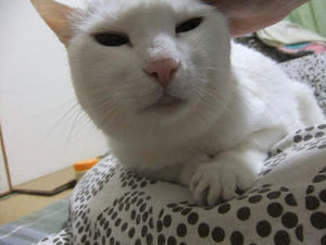 DSCF0582.JPG