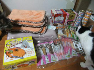 DSCF1179.JPG