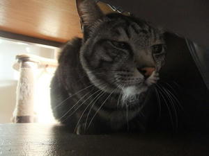 DSCF0764.JPG