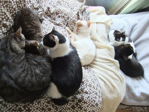 DSCF1123.JPG