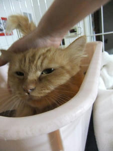 DSCF1251.JPG