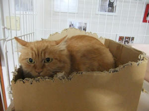DSCF1267.JPG