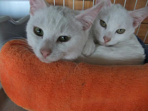 DSCF1269.JPG