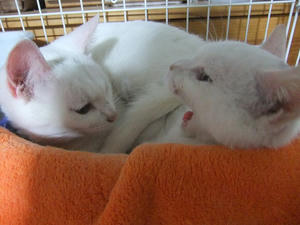 DSCF1258.JPG
