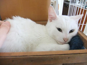 DSCF1306.JPG