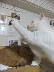 DSCF1283.JPG