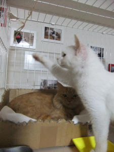 DSCF1280.JPG