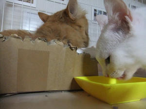 DSCF1277.JPG