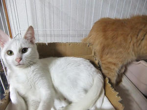 DSCF1312.JPG